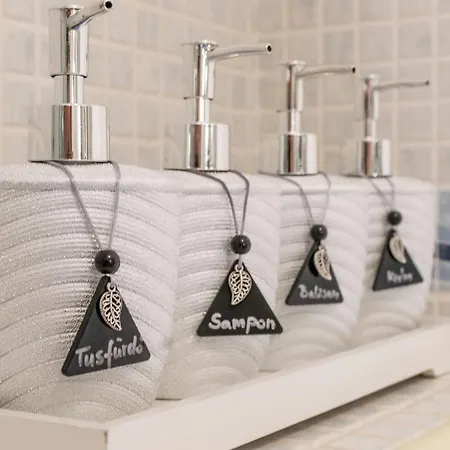 Mikes Vendeghaz بيت ضيافة